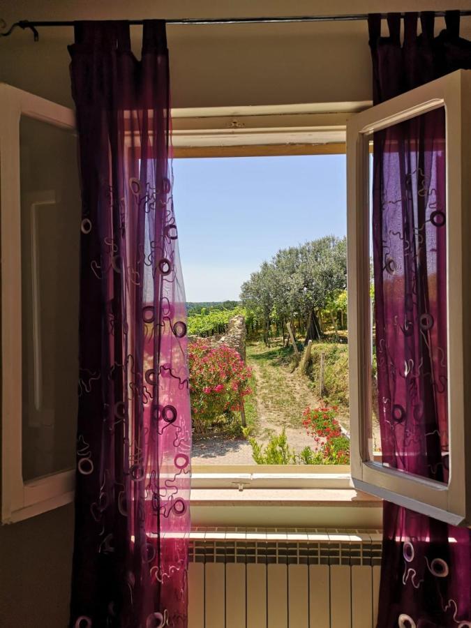 B&B Stella Dell'Adriatico Ortona Εξωτερικό φωτογραφία