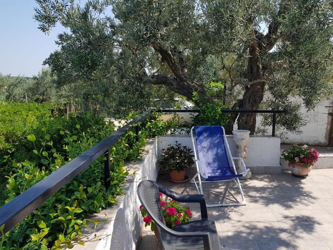 B&B Stella Dell'Adriatico Ortona Εξωτερικό φωτογραφία
